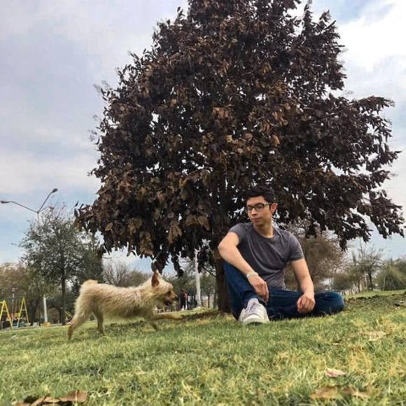 Meet your Posher, Raúl - Picture 1 of 1